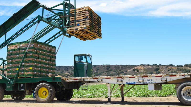 soluções para a indústria alimentar